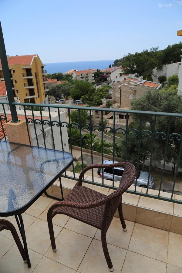Apartmani Irena Petrovac Zewnętrze zdjęcie
