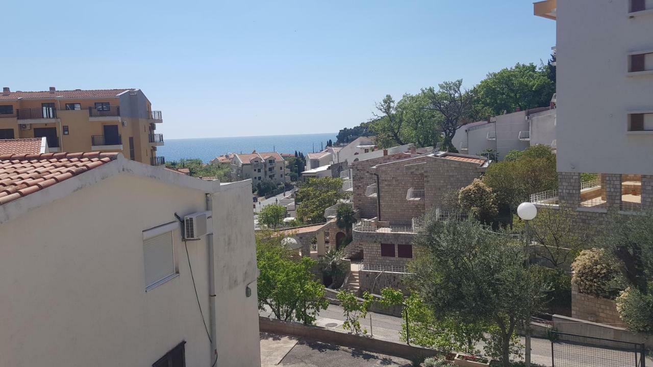 Apartmani Irena Petrovac Pokój zdjęcie